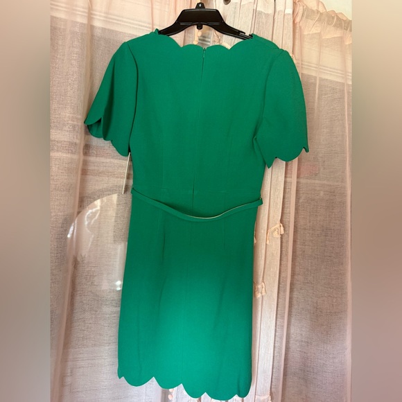 Eliza J Green Scalloped Sheath Dress size 6 NWT* - Picture 8 of 12